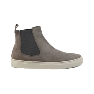 Nicolò - Camoscio grigio invernale